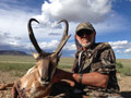 Pronghorn