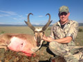 Pronghorn