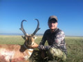 Pronghorn