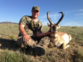 Pronghorn