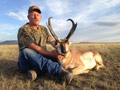 Pronghorn