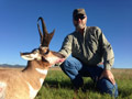 Pronghorn