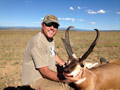 Pronghorn