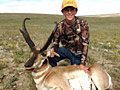 Pronghorn