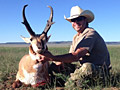 Pronghorn