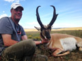 Pronghorn