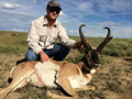 Pronghorn