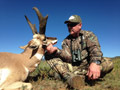 Pronghorn