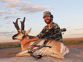 Pronghorn