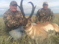 Pronghorn