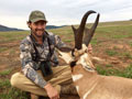 Pronghorn