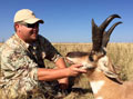 Pronghorn