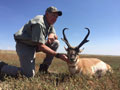 Pronghorn