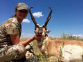 Pronghorn