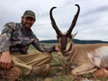 Pronghorn