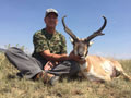 Pronghorn