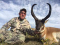 Pronghorn