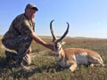 Pronghorn