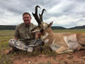 Pronghorn