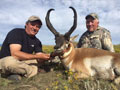 Pronghorn