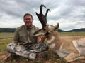 Pronghorn