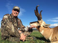 Pronghorn