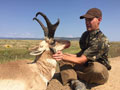 Pronghorn