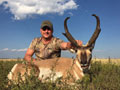 Pronghorn