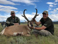 Pronghorn