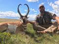 Pronghorn