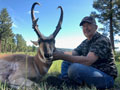 Pronghorn