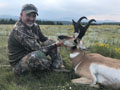 Pronghorn