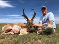 Pronghorn