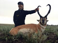 Pronghorn