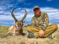 Pronghorn