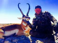 Pronghorn