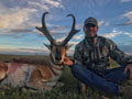 Pronghorn