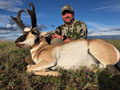 Pronghorn