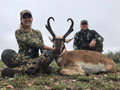 Pronghorn