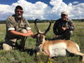 Pronghorn