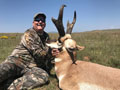 Pronghorn