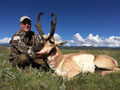 Pronghorn