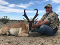 Pronghorn