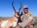 Pronghorn