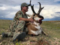 Pronghorn