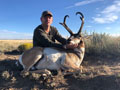 Pronghorn