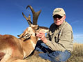 Pronghorn