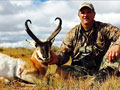 Pronghorn