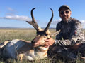 Pronghorn