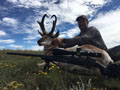 Pronghorn